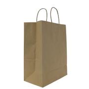 Karat Kraft Laguna Paper Shopping Bags, PK250 FP-SB110